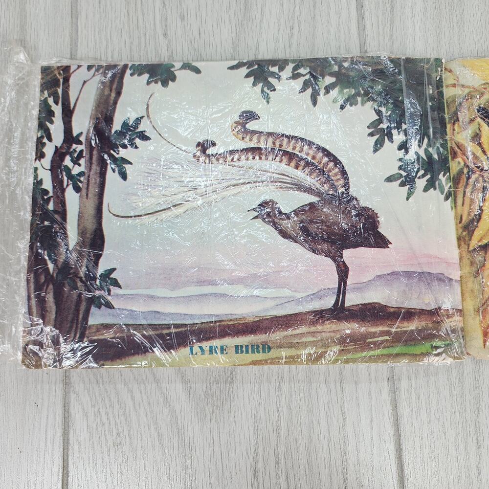 Vintage 1953 Australian Animals Children’s Book Photograpatures Illustrated - Picture 12 of 16
